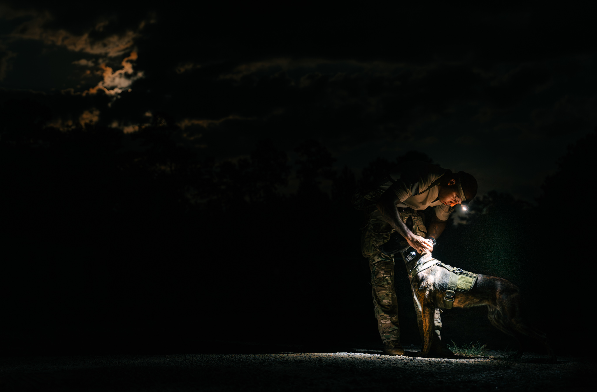 Photography by Media Kanon